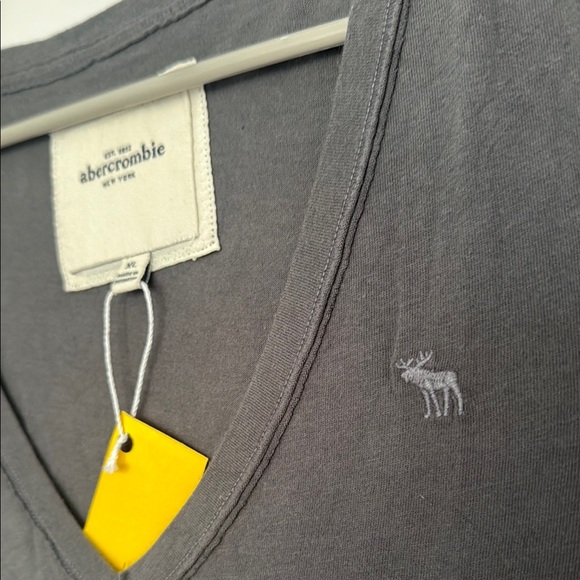 Abercrombie & Fitch Charcoal V-Neck Tee - Picture 2 of 3